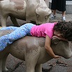 IMG_0138.JPG